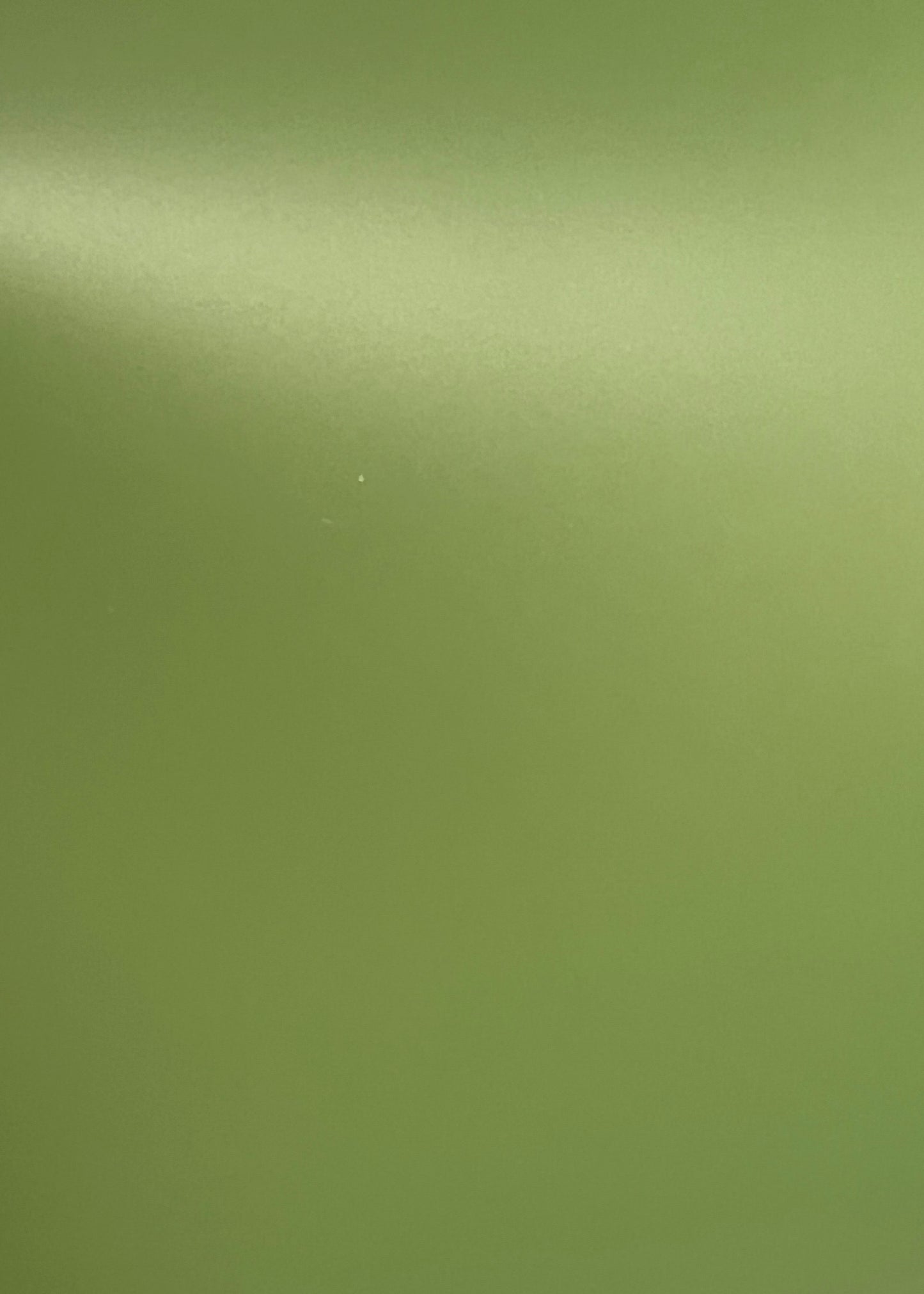 Large Jelly Firkin Olive Green Bag